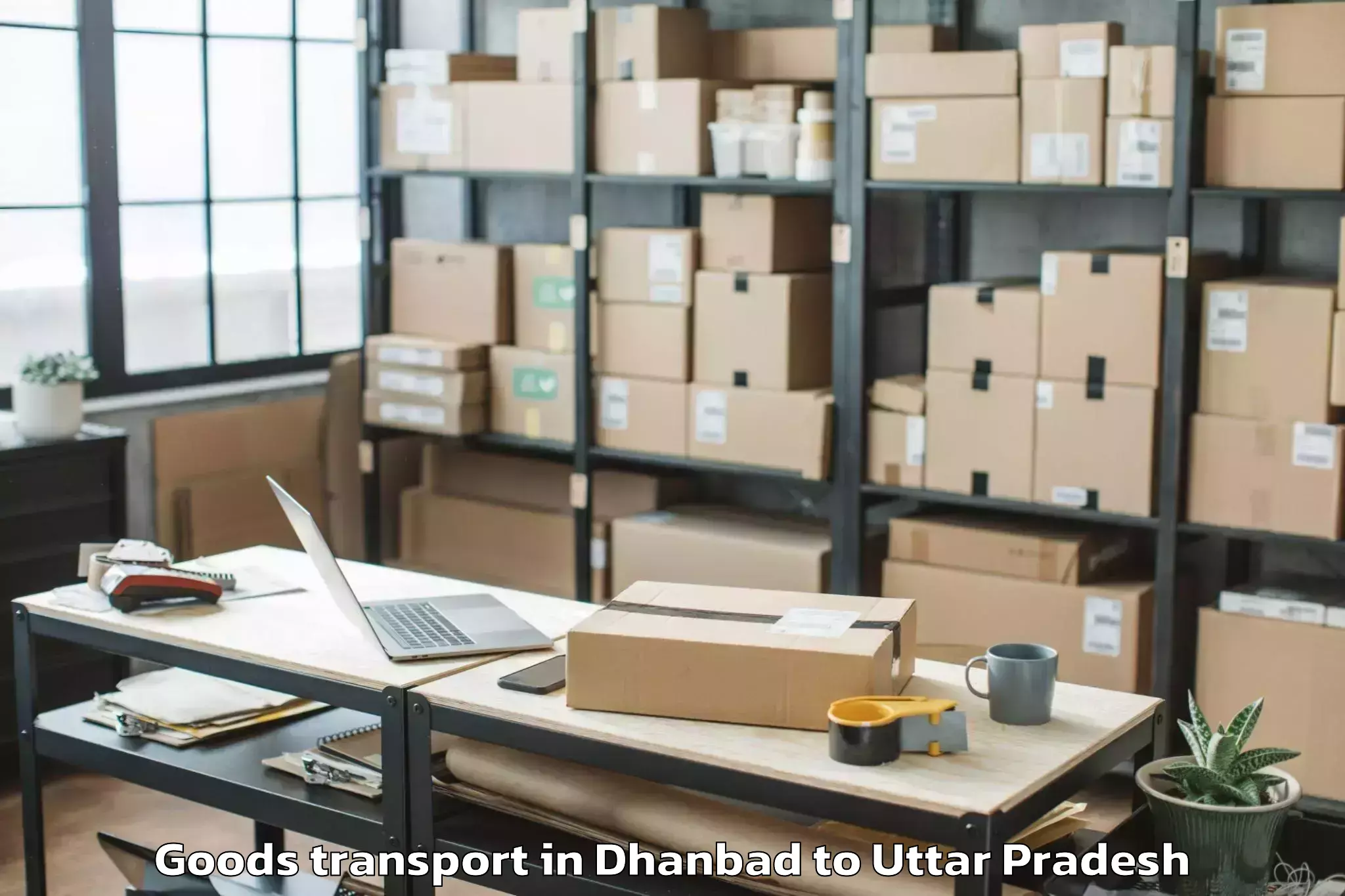 Professional Dhanbad to Sambhal Goods Transport